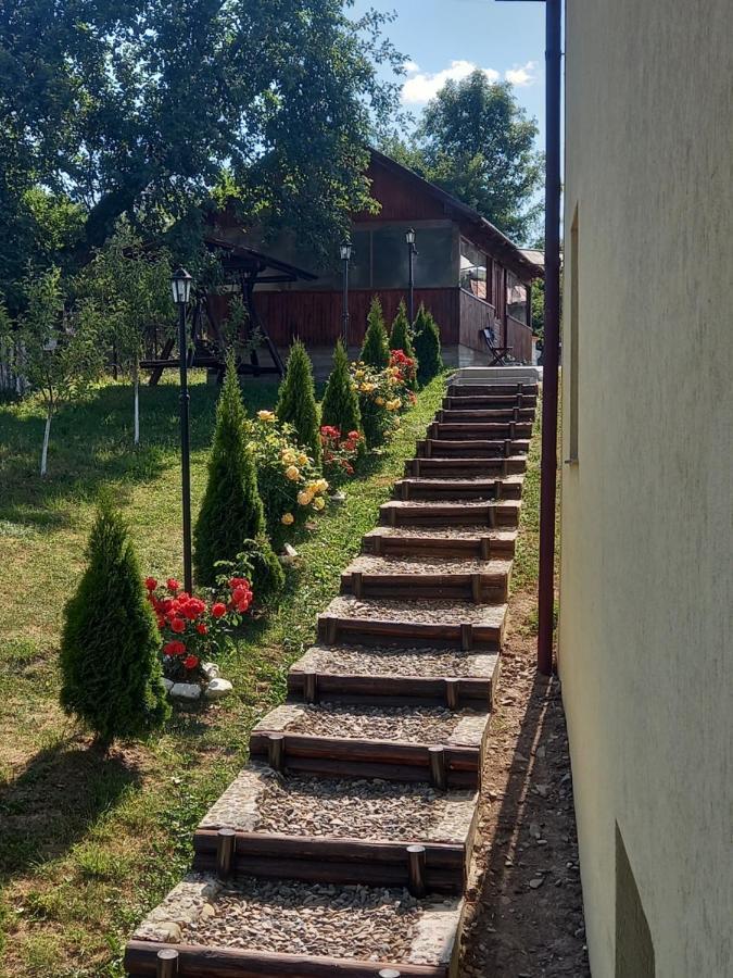 Вилла Casa Paty Мэнэстиря-Гуморулуй Экстерьер фото